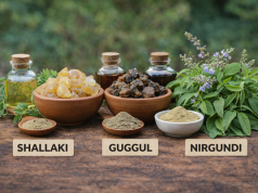 Shallaki vs Guggul vs Nirgundi: Which Herb Supports What?