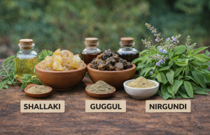 Shallaki vs Guggul vs Nirgundi: Which Herb Supports What?