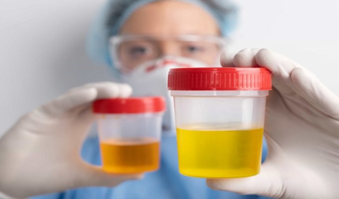 What Research Habits Reveal About Modern Purchasing Decisions Today